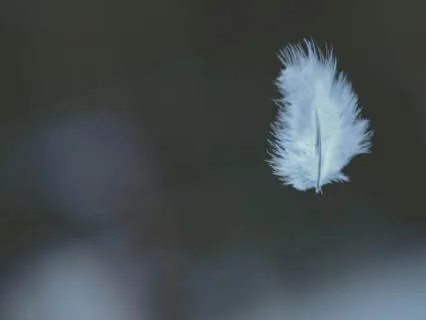 Sound Bath For Peace And Justice