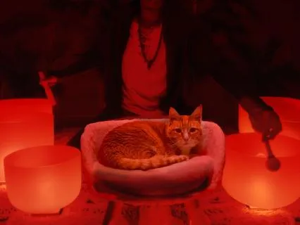 Sound Bath for Rejuvenating Sleep