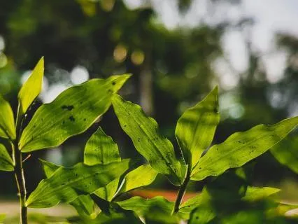 Sound Bath For Relaxation