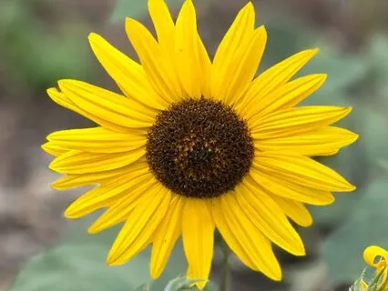 Sound Bath For Rest & Sleep