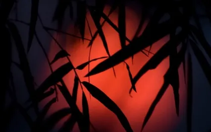 Sound Bath For Sleep: Reprogram Your Subconscious Mind