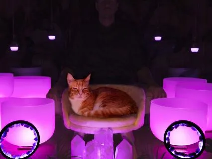 Sound Bath For The Sleep Deprived