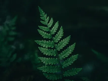 Sound Bath Meditation For Sleep & Anxiety