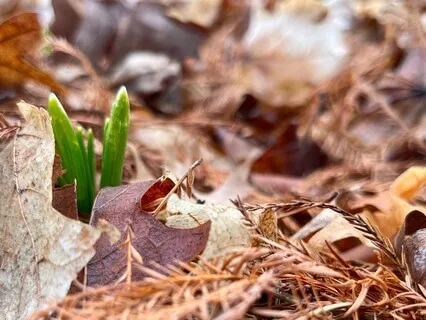 Sound Bath Solar Plexus + Rain