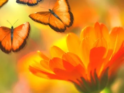 Sound Bath | Spring Chimes