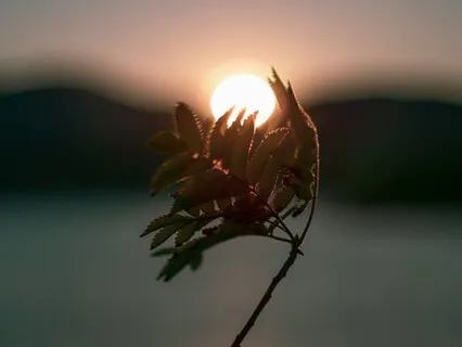 Sound Bath To Lift Mental Fog