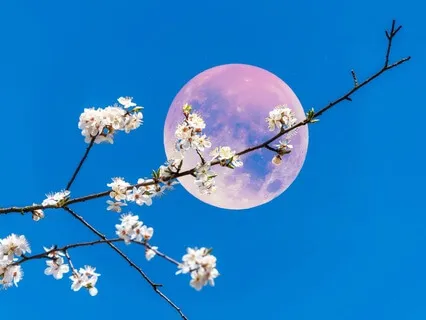Sound Bath To Manifest Your Dreams: Crystal Singing Bowls