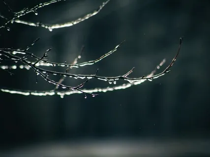 Sound Bath Meditation: Melt Away Tensions & Relax