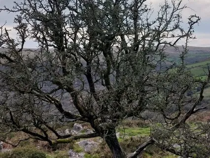 Sound Bath To Sooth And Relax