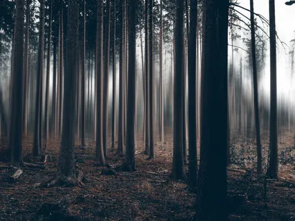 Sound Drift To Sleep