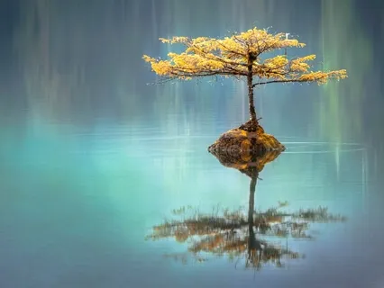 Sound For Stillness & Depth