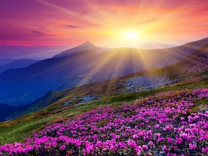 Sound Healing & Om Mantra: Deep Sleep & Rest Healing