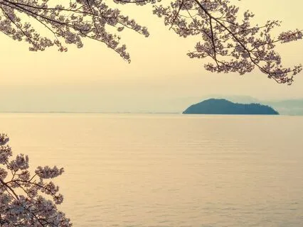 Sound Healing: Cortisol Reduction 111 Hz