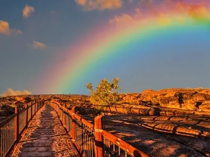 Complete Energy Cleanse - Gong & Crystal Bowls 