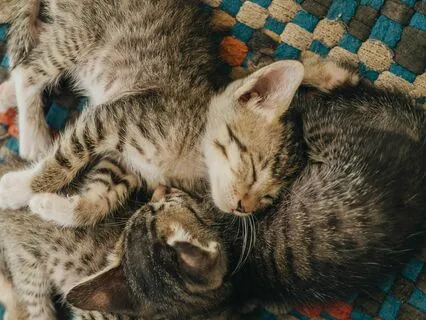 Sound #3 For Relaxation