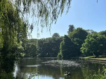 Sound #1 For Relaxation