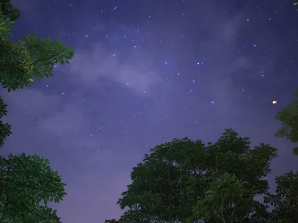 Sound Healing For Root Chakra Balancing & Tibetan Chanting