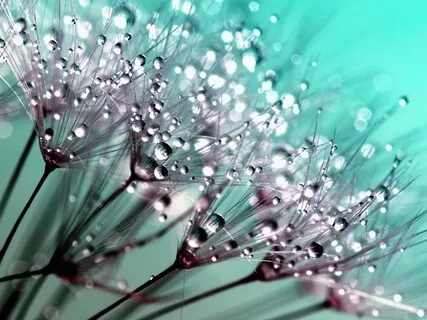 Sound Healing: Healing Frequency Against Fear & Panic Attacks