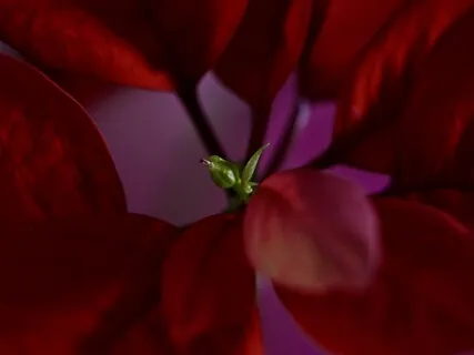 Sound Healing: Healing Frequency For Chakra Activation & Spiritual Growth