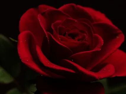 Sound Healing Journey To The Mother's Womb