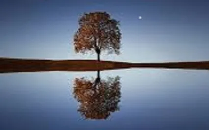 Sound Healing Meditation July 2022