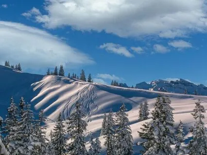 Sound Healing Meditation