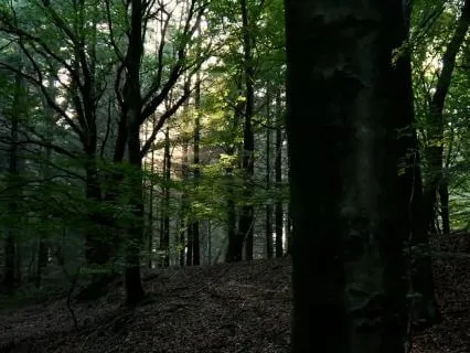 Sound Healing Music For Deep Inner Quiet