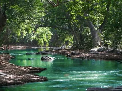 Sound Healing Power Nap
