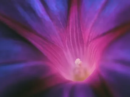 Sound Healing / Healing Frequency: Peace Of Mind