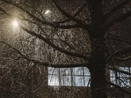 Sound Healing: Snowlight Falling Into Silence