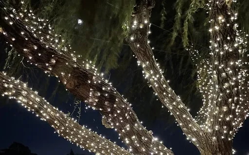 Sound Healing With Tibetan Singing Bowls Release