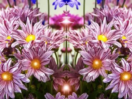 Sound Healing | Your Life Is Precious