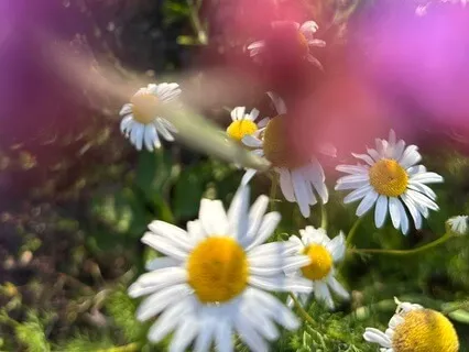 Sound & Move Journey: I Am Safe