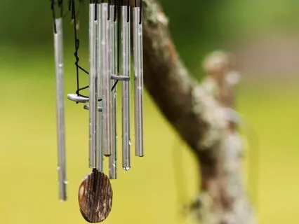 Sound Journey: Integrate & Relax