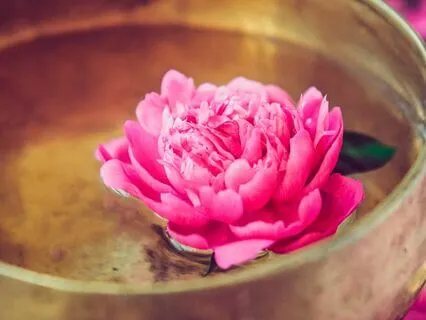 Sound Journey: The Singing Depths