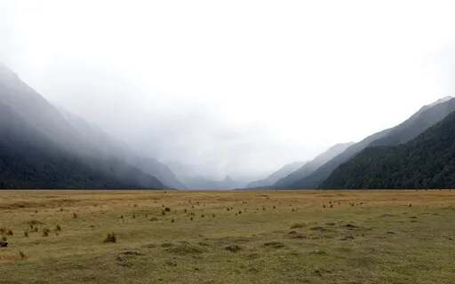 Sound Medicine: Sound To Heal The Body And Mind