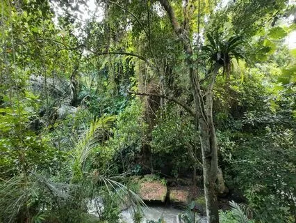 Sound Meditation - From Rain To Shine In Bali