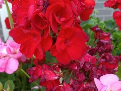 Sound Meditation To Ease Your Mind