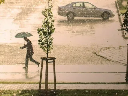 Sound Of Rain In The City For Good Night Sleep