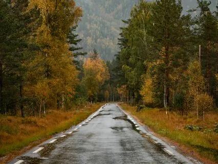 Sound Of Rainstorm For Good Night Dreams