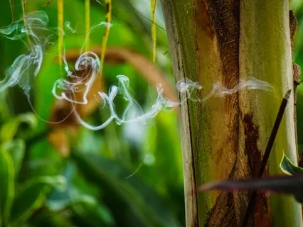 Sound Remedy: Relieve Breathlessness