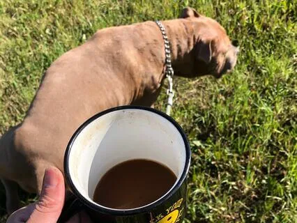 Soundscape Octival Elegance (For Max & Lu)