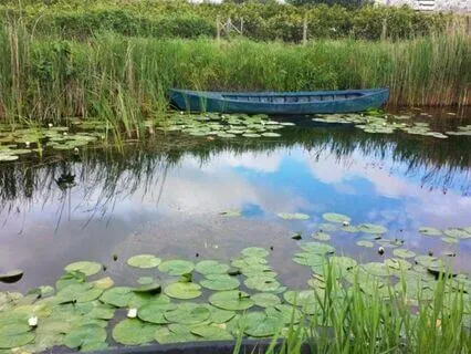 Sound, Silence, Presence: A 10-Minute Break