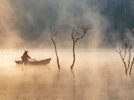 Sound Therapy For Tinnitus Relief And Inner Peace