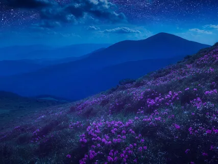 Soundbath For Deep Relaxation  - 10-Minute Daily Insight