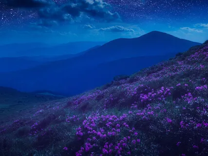 Soundbath For Deep Relaxation  - 30-Minute Daily Insight