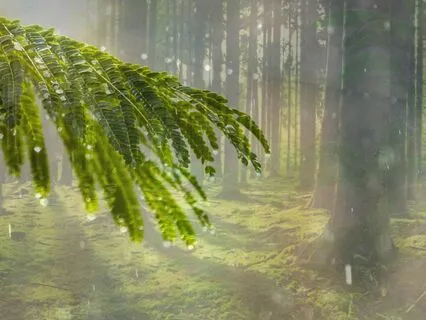 SoundBath Meditation: Relaxing Hand Pan Journey