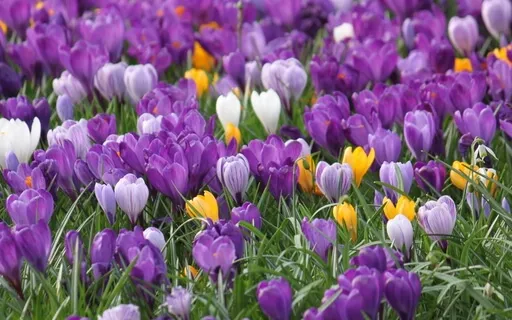 Sounding The Spring Equinox