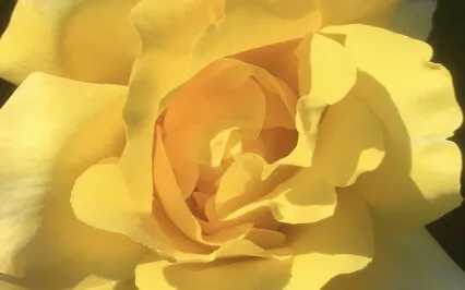 Sounding The Summer Solstice