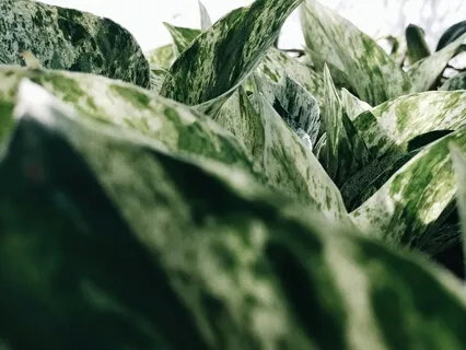 Sounds & Symbols: Peaceful Ambience 